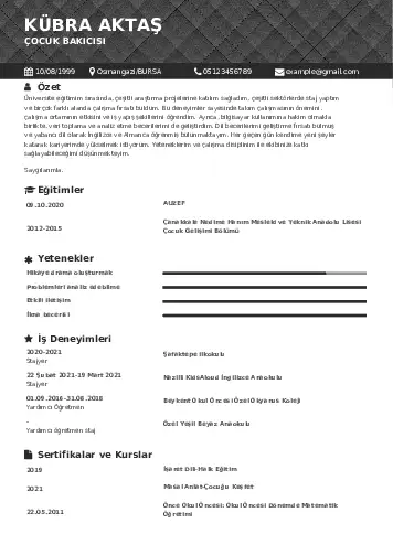 Çocuk Bakıcısı CV Örnekleri cv indir